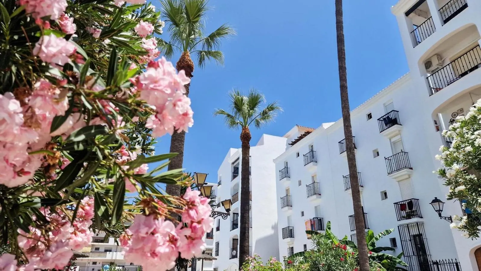 Beautiful Beachfront Newly Renovated 2 Bedroom Apartment With Swimming Pool And Garden San Luis de Sabinillas Španělsko